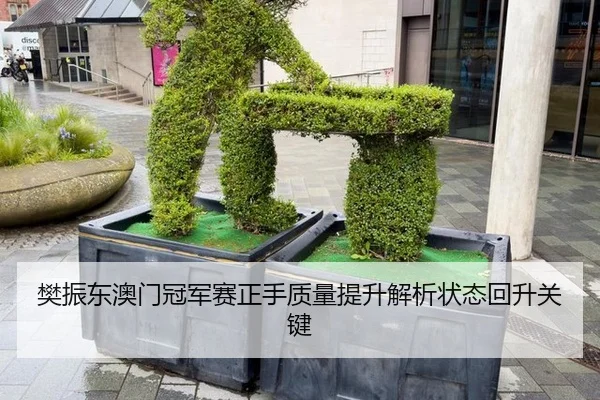 樊振东澳门冠军赛正手质量提升解析状态回升关键