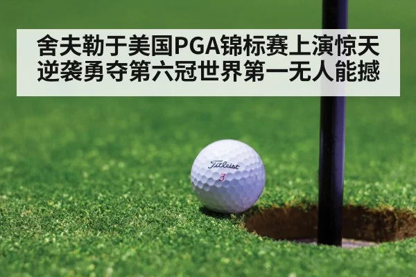 舍夫勒于美国PGA锦标赛上演惊天逆袭勇夺第六冠世界第一无人能撼